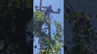 electricity hpsebl shortvideo motivation himachaly hiphoporrap bijliboard funny comedy [upl. by Ikin207]