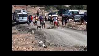 Carrera de podencos canarios en Valle de Santa Ines Fuerteventura Canarias [upl. by Vonny]