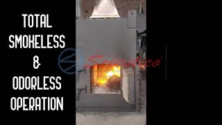 PET CREMATION FURNACE  SMOKELESS [upl. by Litnahs407]