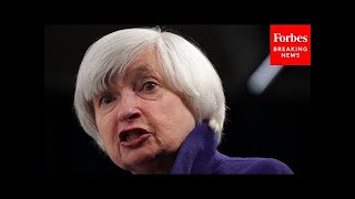 McConnell Yellen Admitted To A Gargantuan Mistake [upl. by Clarissa443]