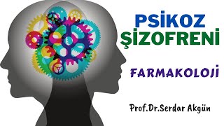 Psikoz Şizofreni Belirtiler Tedavi İlaçlar Farmakoloji ProfDrSerdar Akgün Tıp [upl. by Oremo]