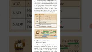 Adenosine Triphosphate  Class 10  Tamil  panchamiclassroomofficial [upl. by Enyt]