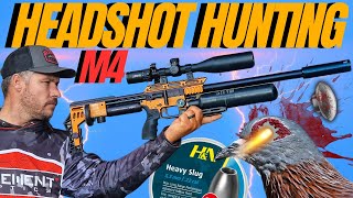 FX IMPACT M4 HEADSHOT AIRGUN HUNTING I LONG RANGE AIRGUN HUNTING WITH FX IMPACT M4 [upl. by Atilek]