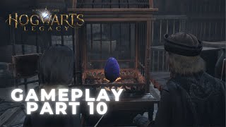 Hogwarts Legacy Slytherin Gameplay Walkthrough Part 10  No Commentary [upl. by Rannug]