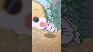 Kissing gourami 💋🐟 animation original cartoon [upl. by Ninnette]