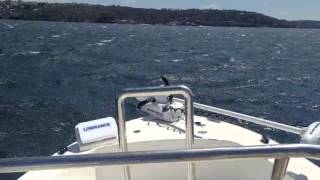 Edgewater 188cc dry ride in 30 knots [upl. by Canute]