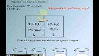 Tonicity Relative Solute Concentrations [upl. by Asilana374]