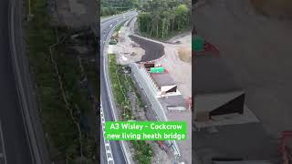 A3 Wisley new Cockcrow living heath bridge construction update June 22nd [upl. by Anni]