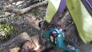 Makita 36v Chainsaw Brushless Battery Chainsaw Real World Test [upl. by Eelatsyrc388]