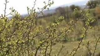 The pit mounds at Baggeridge Country Park Staffordshire [upl. by Suissac]