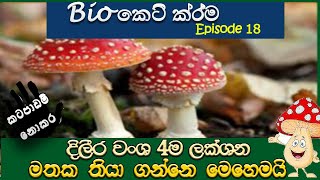 AL Biology short cuts part 18 kingdom Fungi bio keti krama දිලීර [upl. by Ime]