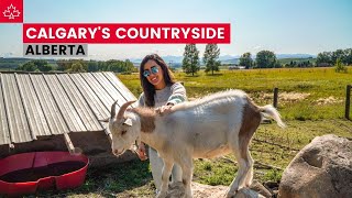 THE ALBERTA FOOTHILLS cute western towns  Exploring Calgarys Hidden Gems Part 2 [upl. by Nalym]