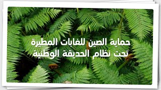 حماية الصين للغابات المطيرة تحت نظام الحديقة الوطنية [upl. by Nhguavoj]