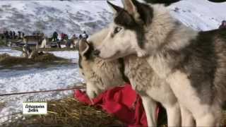 La vallée de la Maurienne  Echappées belles [upl. by Brandy213]