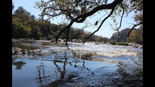 Exploring the Ibis River Retreat in Magaliesburg✔ [upl. by Pierce]