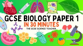 All of GCSE BIOLOGY Paper 1 in 30 minutes  The GCSE Science Teacher [upl. by Llywellyn]