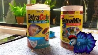 Tetra Fish Food 3 in 1 Food Plus Tetra Color Crisp [upl. by Waterer416]