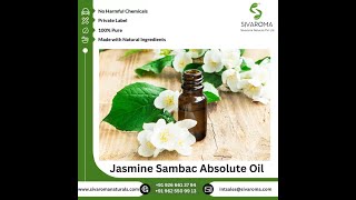 Jasmine Sambac Absolute Oil [upl. by Eartha]