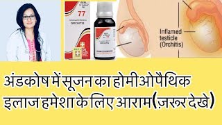 Orchitis अंडकोष में सूजनBest homeopathic Medicine For Orchitis By डॉक्टर रुक्मणी चौधरी [upl. by Ahsekram]