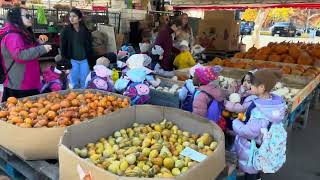 Canada Montreal Jean Talon Market [upl. by Ellinehc31]