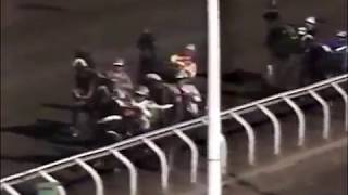 1994 Northlands Park THATLL BE ME Western Canada Pacing Derby [upl. by Nylac]