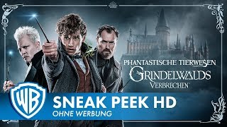 Phantastische Tierwesen Zusammenfassung  Wo sie zu finden sind amp Grindelwalds Verbrechen  Recap [upl. by Laiceps]