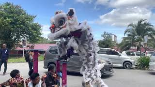 Yick Nam lion dance performance 2023 [upl. by Kcirde]