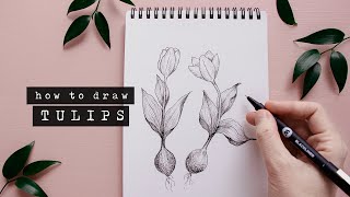 How To Draw Tulips  Floral Illustration For Beginners [upl. by Feirahs523]