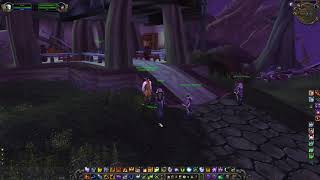 Sylvanaar Stable Master Location WoW TBC [upl. by Hawkie]