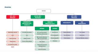 USMLE Pharmacology Hematinics [upl. by Angadresma]