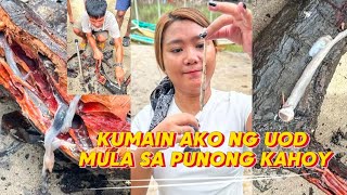 KUMAIN KAMI NG UOD MULA SA PUNONGKAHOY [upl. by Gibbons409]