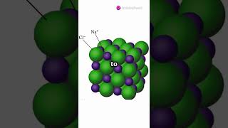 Neutralization Reaction Explained Simply I shorts science chemistry cbse facts [upl. by Anes]