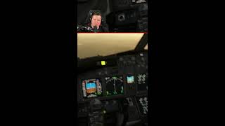 🔴 Tune In Realistic WestJet Flight on Vatsim shorts [upl. by Aggappe]