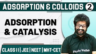 ADSORPTION AND COLLOIDS 02  Adsorption amp Catalysis  Chemistry  Class11thMHTCETJEENEET [upl. by Isaacson]