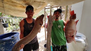 15kls MUKBANG DRIED GIANT MORAY EEL  parang chicaron sa lutong [upl. by Nitsug975]