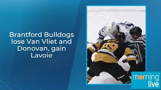 Brantford Bulldogs lose Van Vliet and Donovan gain Lavoie [upl. by Clement]