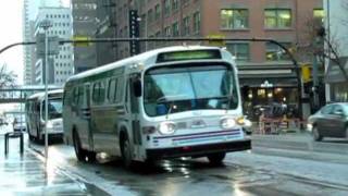 Calgary Transit Bus System [upl. by Ijneb838]