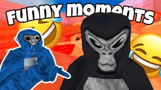 Gorilla Tag FUNNIEST Moments REACTION [upl. by Nnybor]