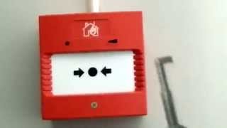 Klaxon quotBoxalarmquot Fire Alarm Callpoint and Sounder [upl. by Nibla]