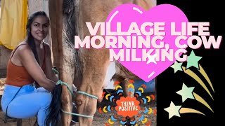 milking cows on a dairy farm  cow milking video [upl. by Nerin]