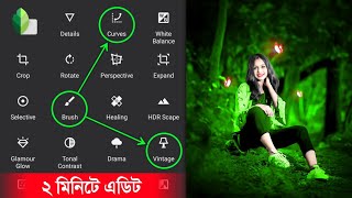 Snapseed Photo Editing Butterfly Effect 2024  ছবি এডিট করবো কিভাবে [upl. by Dyna]