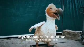 Ice age animals animatronic dodo bird [upl. by Ayotahc]