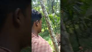 Short video Dak Pakhi dhara viralvairal video Dangar [upl. by Woodberry]