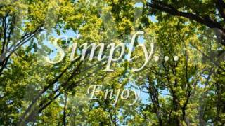 Simply Meditate  Lucawmv [upl. by Enylhsa370]