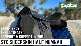 Experience the Ultimate Comfort amp Support with the STC Sheepskin Half Numnah  Greg Grant Saddlery [upl. by Tapes238]