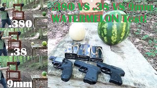 Best Pocket Gun Caliber 380 VS 38 VS 9mm WATERMELON Test [upl. by Cochran720]