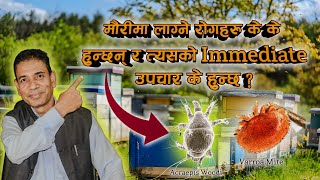 मौरीमा लाग्ने रोगहरु र त्यसको Immidiate उपचार  Varroa Mite Acraepis Woodi  Episode 1 [upl. by Saxen]