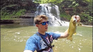 We Found a RARE Fish In The Creeks Fishing Giant Waterfalls [upl. by Lessur]