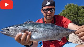 Last Bells Ring for Palamida Atlantic Bonito  Fishing on Pag Island  Croatia [upl. by Gide]