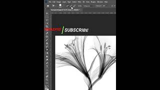 Remove complex background trick in photoshop photoshop [upl. by Delilah]